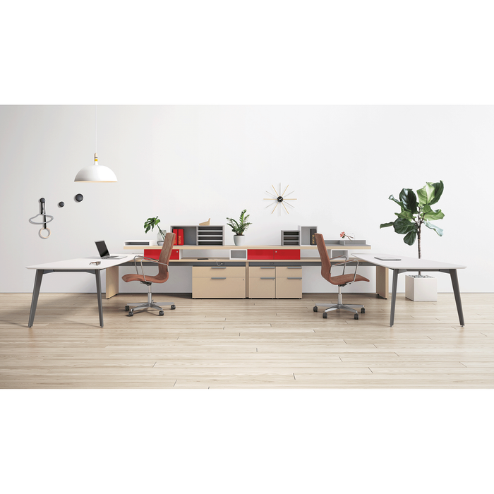 Workshelf Desking Based Workstation