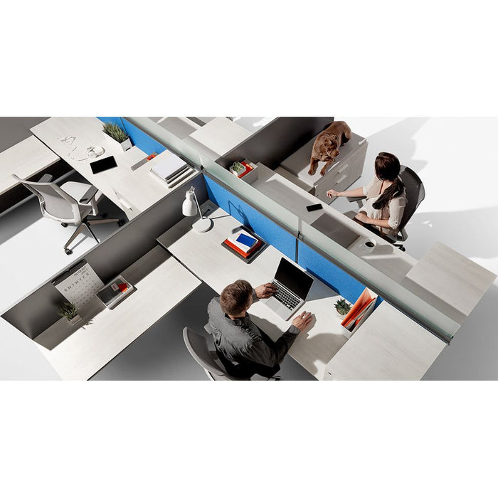 Switch Typical 3 24"x60"