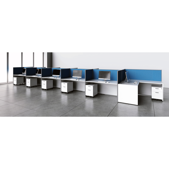 MultiStation OS Thin Panel Based Workstation