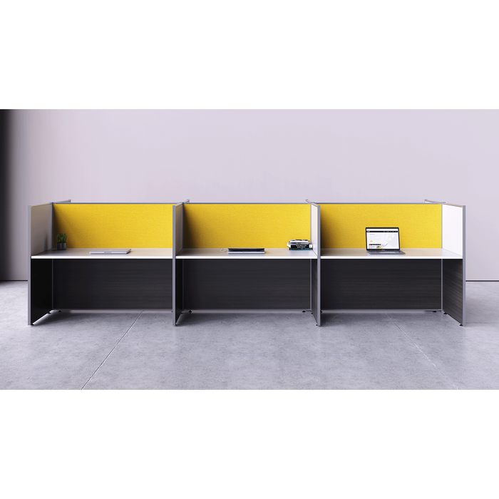 MultiStation OS Thin Panel Based Workstation