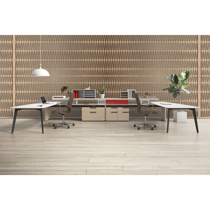 Workshelf Desking Based Workstation